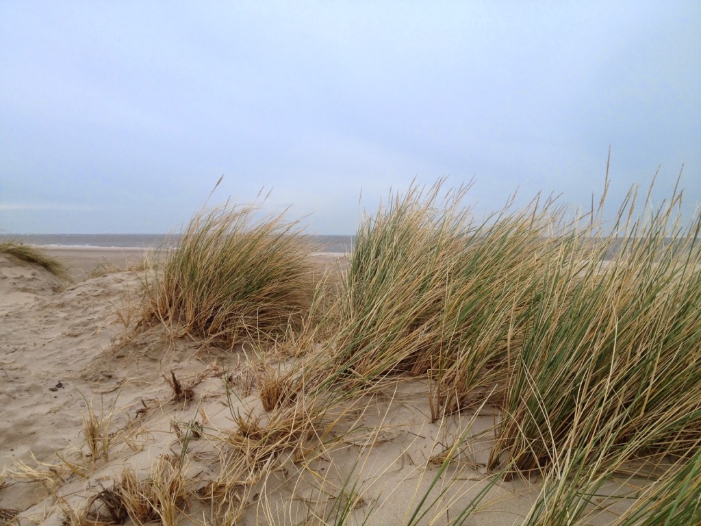 Foto Duinen Texel